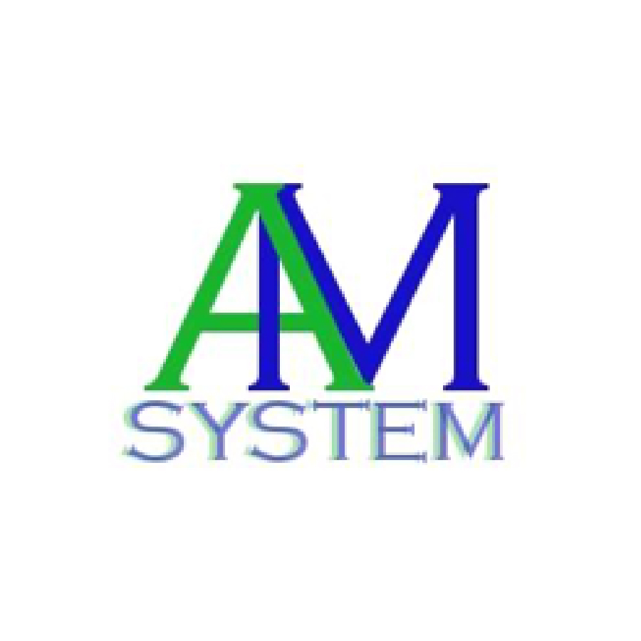 AM System